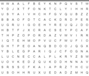 Word Search